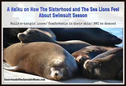A Haiku on How The Sisterhood and The Sea Lions Feel About Swimsuit Season