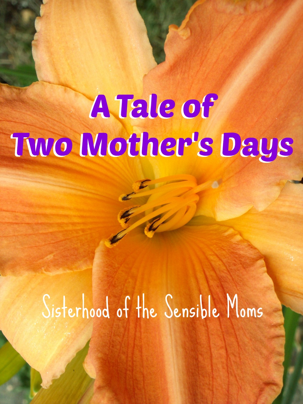  A Tale of Two Mother's Days: It's a flip of the coin on how your day will turn out. |Parenting| Sisterhood of the Sensible Moms