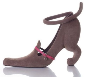 dog shoe