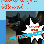 Catcrap Crazy Pintershizz on Pinterest