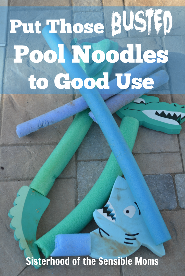 How to Use Those Busted Pool Noodles - SIsterhood of the Sensible Moms