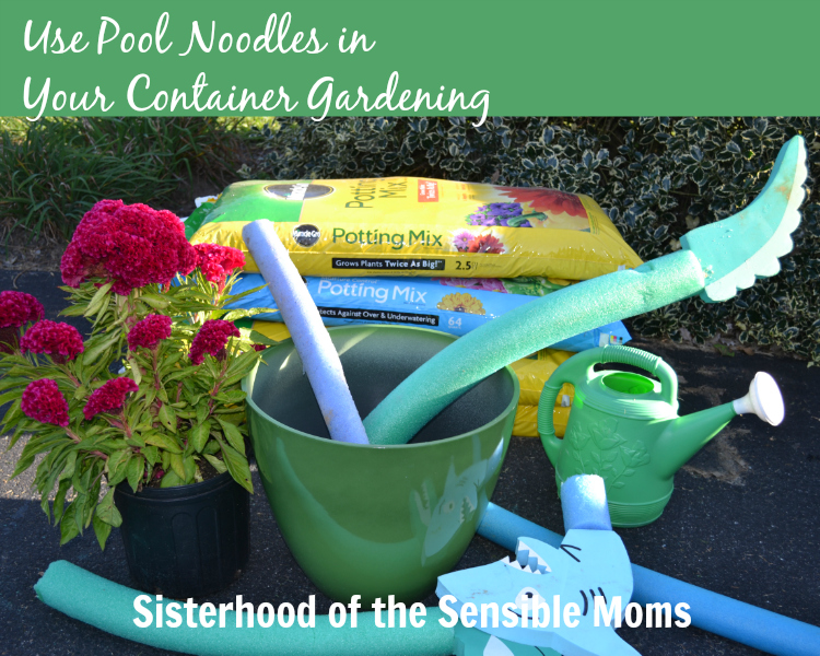 Use Pool Noodles in Your DIY Container Gardening - Sisterhood of the Sensible Moms