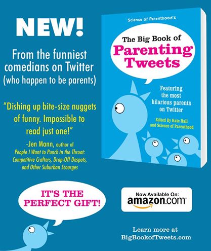 How to Be Internet Famous in Six Degrees - Kevin Bacon and P!nk are the Best (and other truths about Twitter)! - Sisterhood of the Sensible Moms