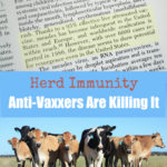 Herd Immunity: Anti-Vaxxers Are Killing It