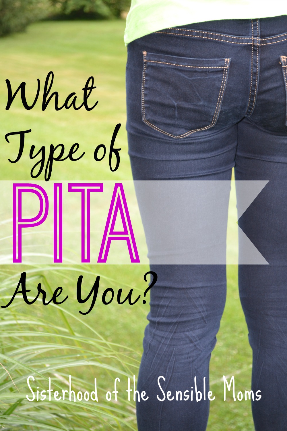 What's a PITA, besides funny fodder? Well, if you have to ask, you might be one of the worst offenders. But anyway, it's "Pain in the A**." No matter how great you are, everyone has that little sliver of their personality that occasionally rears its ugly head and causes much eye rolling. So . . . What Type of PITA Are You? | Humor | Sisterhood of the Sensible Moms
