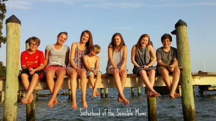 Photos are great vacation souvenirs, but do you really need a DSLR to capture them? Sisterhood of the Sensible Moms