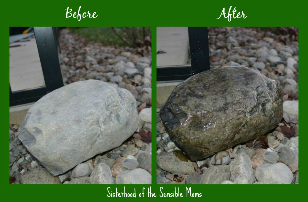 Fast and Easy! How to Make Your Landscape Pop With Rocks | DIY Garden Design Principles | Sisterhood of the Sensible Moms