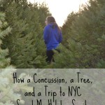 How A Concussion, A Tree, and A Trip to NYC Saved My Holiday Sanity