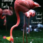 DIY Flamingo Party